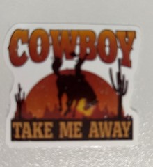 10 STICKERS WESTERN COWBOYS Journal Planner SCRAPBOOK COUNTRY WSIPVD