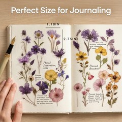 Pegatinas de flores secas para scrapbooking, pegatinas de flores prensadas