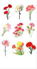 Carnation Flower Sticker Sheet Red Pink White Floral Bouquet Botanical Vinyl