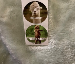 Teacher Kids Reward 1” Round Animal Stickers 4 Designs Brand New Lot of 100 #*