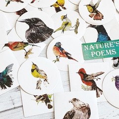 45PCS Cute Bird Stickers – Kawaii Craft Scrapbooking Planner Diary Stickers