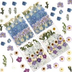 140 Pcs Dried Pressed Flowers Real Natural Blooms for Resin Art DIY Crafts Set