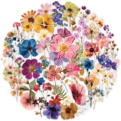 50Pcs Transparent Flora Scrapbook Stickers Pack, Vintage Aesthetic Flowers St…