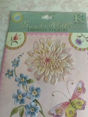 K&COMPANY BRENDA WALTON EMBOSSED STICKERS GLITTER SOMERSET FLORALS & CORNERS 14P