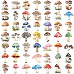50PCS Retro Mushroom Stickers PET Transparent Nature Decals