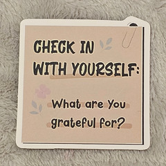 Check In With Yourself Gratitude Sticker Mental Health Boho Affirmation Decal