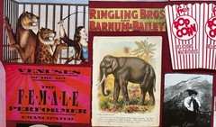 Circus Carnival Ephemera Lot Junk Journal scrapbooking 64 + pieces Kit Bundle