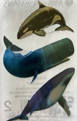 WHALE Photoessence Metallic Foil Stickers(3pc)Mrs.Grossman’s•Orcas•Ocean•Killer•
