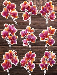 Orchids Die Cut Vinyl Stickers Set Scrapbooking Laptop Water Bottle