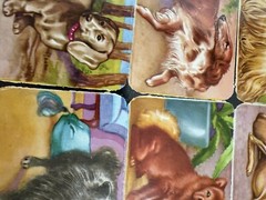 LOT OF 7 Full Sheets VTG Animals Birds Dogs EAS Die Cut Paper Scrap Germany