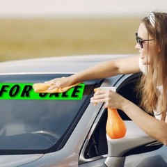 Chartreuse Green Vinyl Slogan Stickers – 12-Pack for Car Dealer Windshield