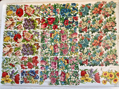 VTG VICTORIAN SCRAP PZB WILD FLOWERS MIXED FLORALS DIECUTS GERMANY