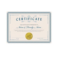 Hybsk 300Pcs Notary Seals 2 Inch Embossing Stickers Gold Metallic Certificate Se