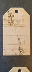 10pc Floral Botanical Design Paper Printed Tags for Gifts, Journal, Ephemra