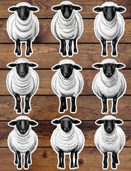 Black and White Sheep Die Cut Vinyl Stickers Set Scrapbooking Laptop Waterbottle