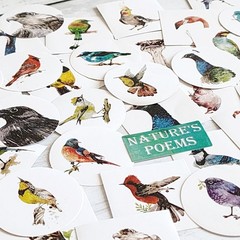 45PCS Cute Bird Stickers – Kawaii Craft Scrapbooking Planner Diary Stickers
