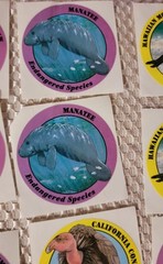 Vintage 1994 Special Expressions Endangered Species 32 Stickers Panda Seal Frog