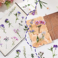 120 Colorful Transparent Flower Stickers for Scrapbooking and Craft Projects