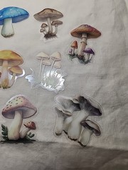 Mushroom Assorted Lot Of Ephemera For Junk Journaling Or Paper Crafting