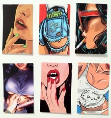 Sexy Girls. Adult Picture Stickers Hot Babes. Sexy Ladies. 6 Stickers/Decals (C)