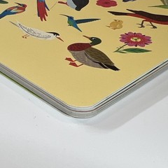 Creative Spark by Cupkin Bird Sticker Activity Book for Kids – 500+ Stickers NEW