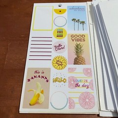 The Happy Planner Loose Partial Sticker Pages 120 Count