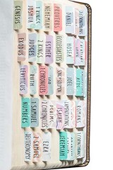 DiverseBee Laminated Bible Tabs – 84 Piece Set for Bible Study & Journaling