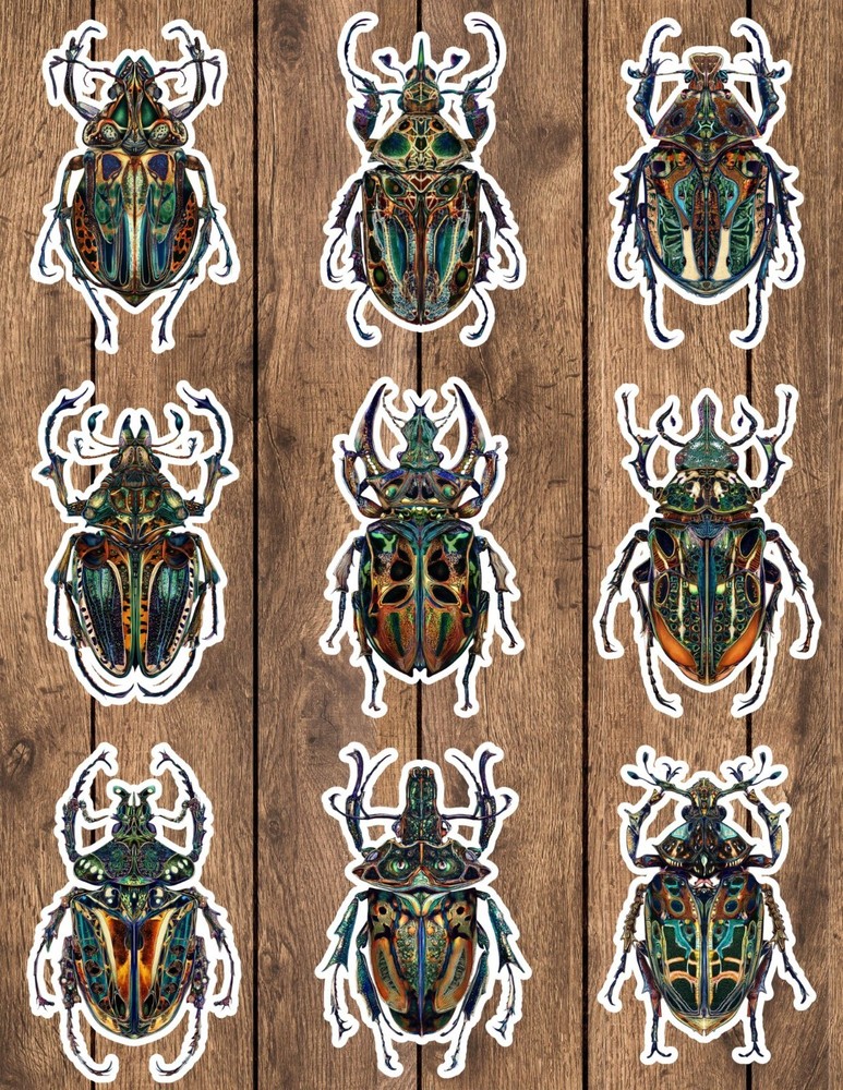 Beetle Die Cut Vinyl Stickers Set Scrapbooking Laptop Water Bottle