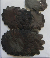 Mulberry Paper Daisies Mix DARK CHOCOLATE 60Pk 3Sizes 2.5, 3.5 & 5cm Kaisercraft