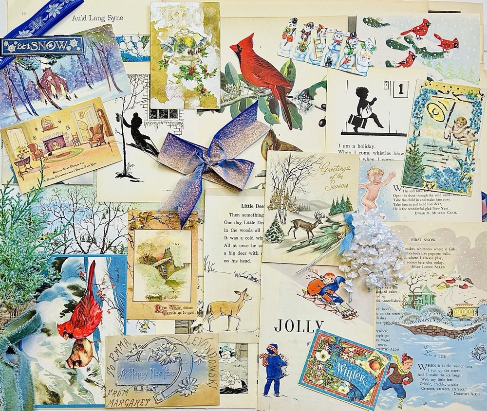 VTG Ephemera New Years Eve Winter Junk Journal Audubon Bird Bk Plates Pack #80+