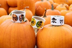 Skull and Crossbones Stickers | 2″ Inches Round – 100 Pack | Pick One Color