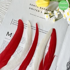50pcs White Long Rooster Coque Tail Feathers 12-14Inches for Hat Costume Deco…