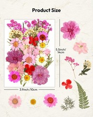 Blossom Pressed Dried Resin Flowers 100Pcs Natural Real Dried Flower Craft