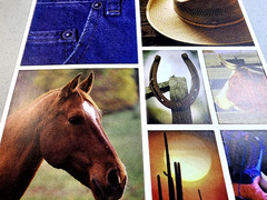Pebbles Western Cardstock Stickers Cowboy Horse Barb Wire Scrapbooking 13pc 6×12