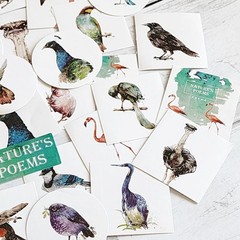 45PCS Cute Bird Stickers – Kawaii Craft Scrapbooking Planner Diary Stickers