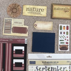 AUTUMN Themed Embellishments Kit
