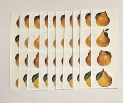 Mrs. Grossman’s Stickers Lot of 10 Strips ~Pears Photoessence~ Vintage 1999