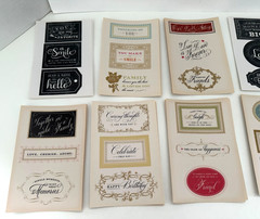 Anna Griffin Artfully Said Vellum Quote 143 Stickers – AG 528 New – Scrapbooking