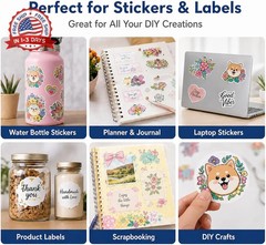 Bleidruck 36 Sheets A4 Size Crystal Clear Vinyl Sticker Sheets Self-Adhesive Ove