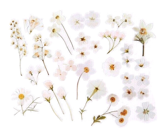 40 pcs White Stickers Flower Leaves Sprigs Clear Edge Scrapbooking Card Making