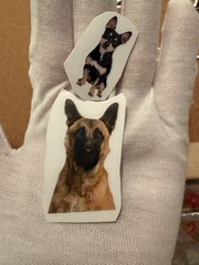 Vinyl Dog Lovers Stickers 2 Matte & 7 High Gloss 9 Pieces Total Small -Medium Sz