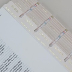 UPAFEXXI-Laminated Bible Tabs with Book Summaries(3D Gold Summaries Cream