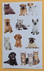 Dogs and Cats Sticker Sheet