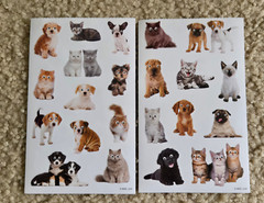 20Pcs Meme Dog Cat Stickers Funny Cat Teens Kids Laptop Google Eyes