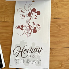 The Happy Planner – Disney – Mickey and Minnie Mouse Calendar Stickers