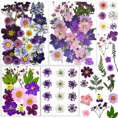 92 Pcs Purple Dried Pressed Flowers Real Natural Leave Petals for DIY Resin C…