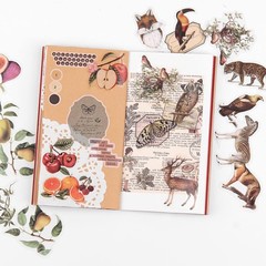 Nature Themed Transparent Pre-Cut Stickers for Scrapbooking, Pack Multicolor
