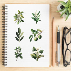 50-Piece Transparent Waterproof Greenery Plant Stickers for Scrapbooking, Journa