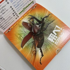 Beetle and Stag Beetle Japanese Stickers book 275 Stickers Shogakkan Neo JP