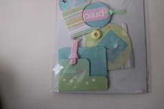 Daisy Hill Multi – Color Baby Dimensional Pocket Embellish Cards Boxes Scrapbook